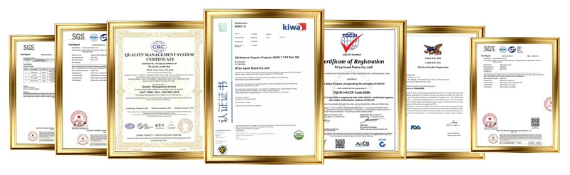 product-800-246 product-800-246